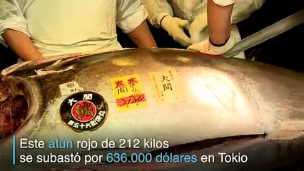 El atún de los 636.000 dólares
