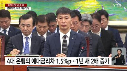 이자이익으로 42조 원 수익..."예대마진 내려야" / YTN