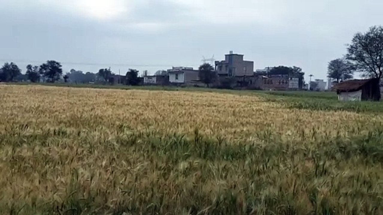 पीएम किसान सम्मान नि​धि की किश्त आएगी या नहीं,...
