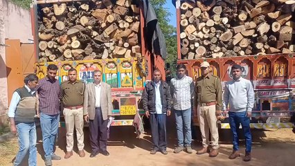दिल्ली ले जाए जा रहे खेजड़ी की लकड़ी से भरे दो ट्रक पकडे