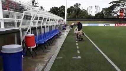 Instalaciones Del Cibao Futbol Club