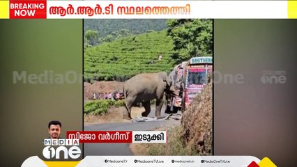 മൂന്നാറിൽ വീണ്ടും വാഹനം തടഞ്ഞ് കാട്ടുകൊമ്പൻപടയപ്പ | Again Padayappa  in Munnar