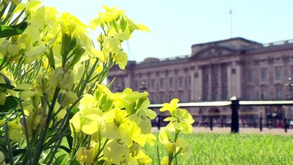 Boda del príncipe Enrique deja indiferentes a los republicanos británicos