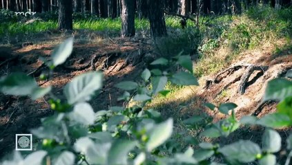 Kripo live-Tätern auf der Spur-Die Motive von Serienmördern