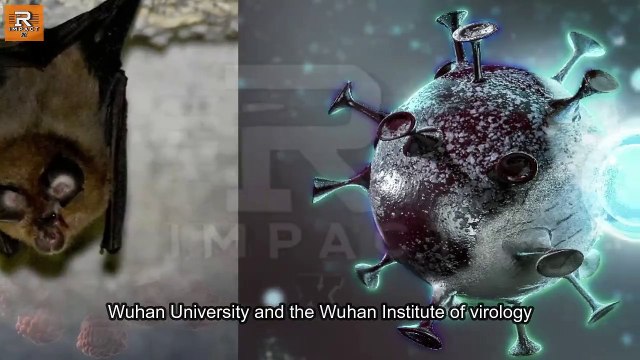 Chinese Scientists Discover NEW Bat Coronavirus | covid virus | Bat corona virus