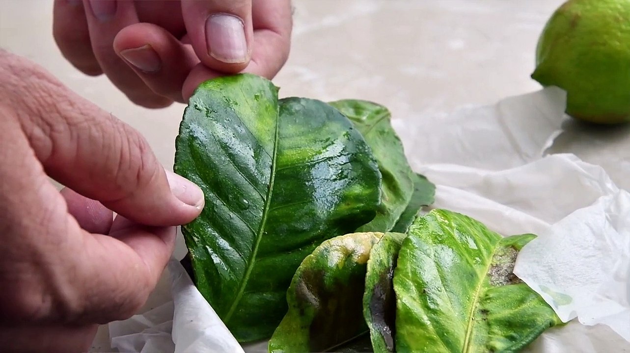 Entrevista Luis Matos