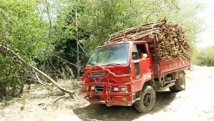 Tráfico de guaconejo en el Lago Enriquillo