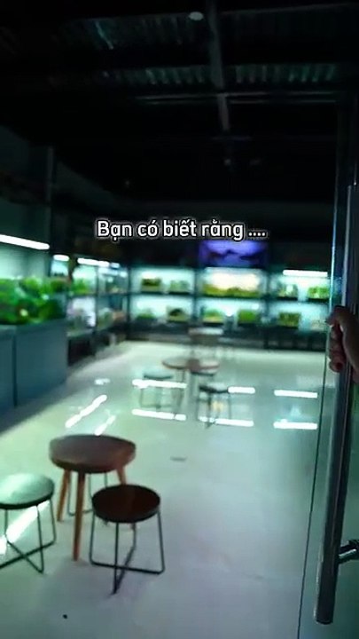 Aquarium