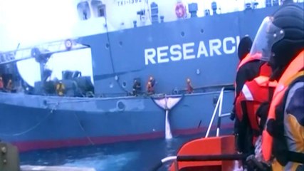 Japón retomará abiertamente la caza comercial de ballenas