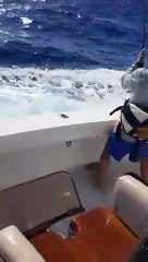 Pesca en Cabeza de Toro, Higüey