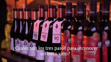 ENTREVISTA AL EXPERTO EN VINOS: JOSÉ PEÑÍN