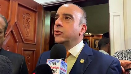 Victoria Yeb dice interpretación de Ley Electoral 15-19 por el PRM es errónea