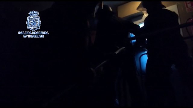 inco detenidos de una red de inmigración irregular de dominicanos en España