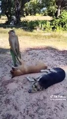 You have a good time discovering funny news