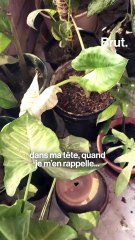 Rencontre avec Daniela Afua, la maman des plantes