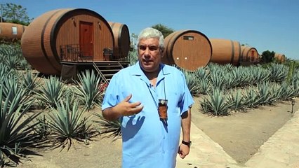 Hotel invita a dormir en barricas de tequila
