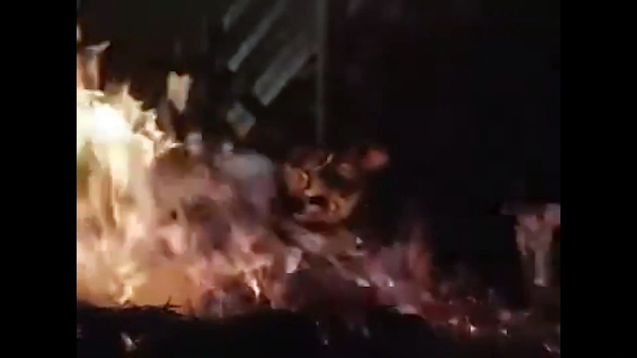 Animal Farm Trailer (1999)