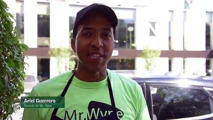 Conozca a Mr. Wype, una alternativa ecológica para la limpieza de los vehículos