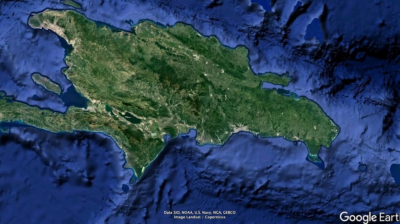 Tres especies de tortugas marinas