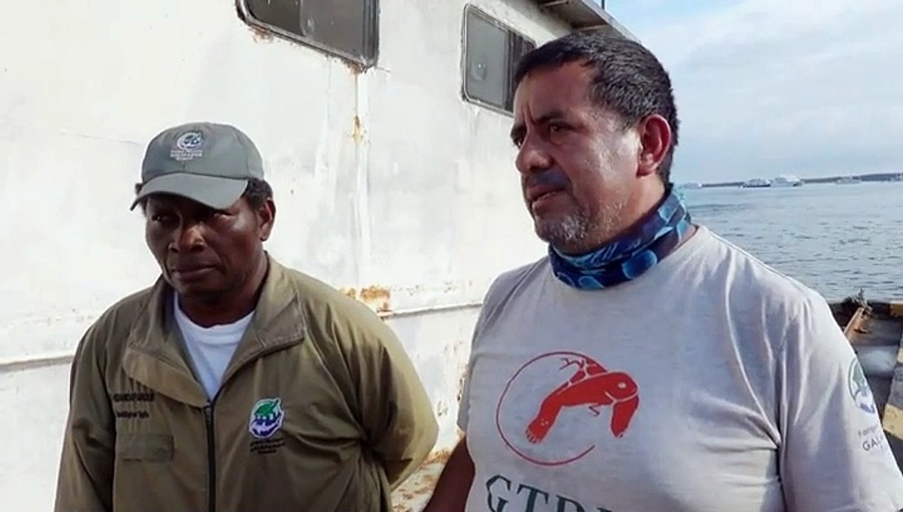 Hallan en Ecuador tortuga gigante que se consideraba extinta