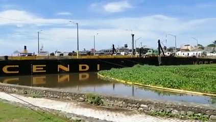 Lilas en el río Ozama, el problema de nunca acabar