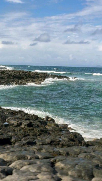 IMG_9246