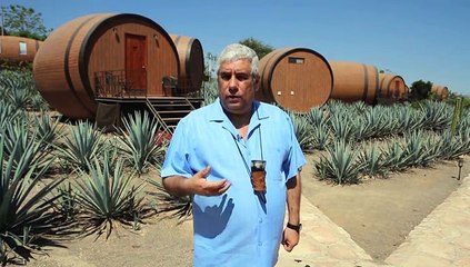 Un hotel en Tequila.