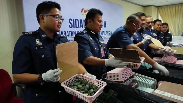 Malasia decomisa de más de 5,200 crías de tortuga traficadas desde China