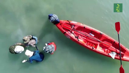 Cría huérfana de dugongo se convierte en sensación en Tailandia