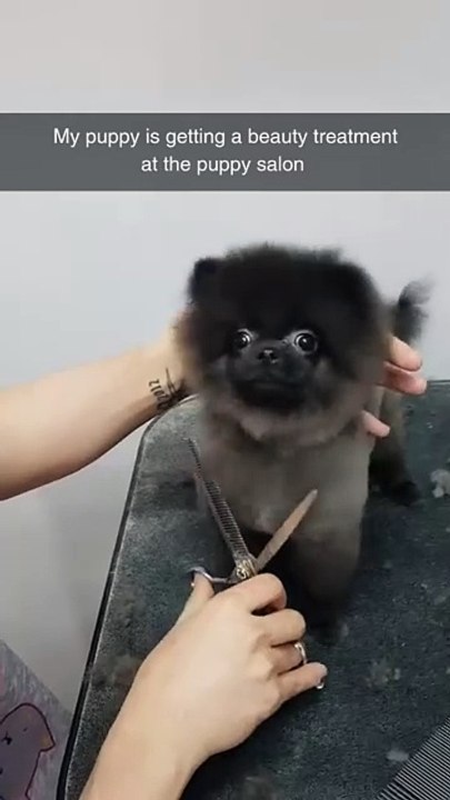 He knows he's going to be handsome