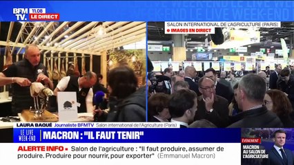 Salon de l'agriculture: "Les présidents passent, le porc noir de Bigorre reste", remarque avec un trait d'humour cet éleveur du sud-ouest