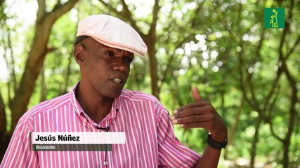 La decadencia de la industria azucarera: Jesús Nuñez