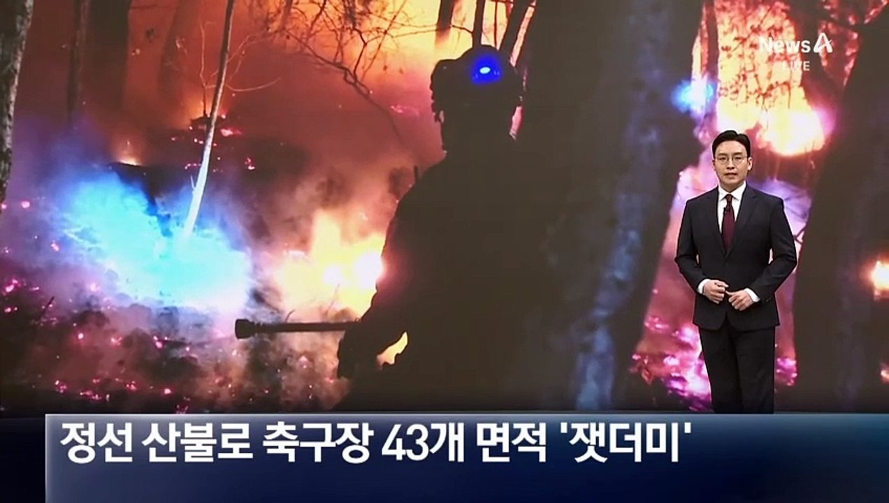 정선 산불로 축구장 43개 면적 ‘잿더미’