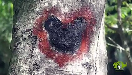 Parque Zoológico Nacional presentó este martes a su más reciente integrante