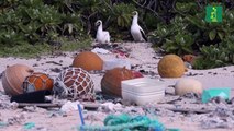 La Isla Henderson, un paraíso arruinado por el plástico