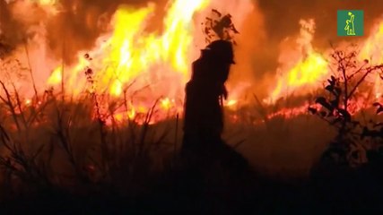 Incendios forestales en Bolivia han consumido más de 700 mil hectáreas