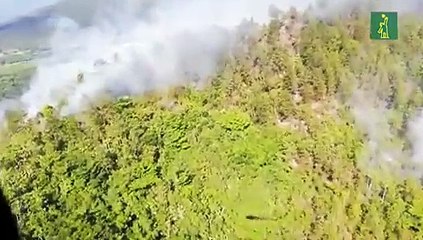 Fuego forestal afecta Loma de Caribe, en Monseñor Nouel