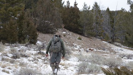 Seuls face à l'Alaska