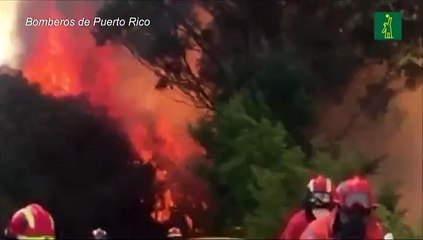 Incendio sin control en Canarias