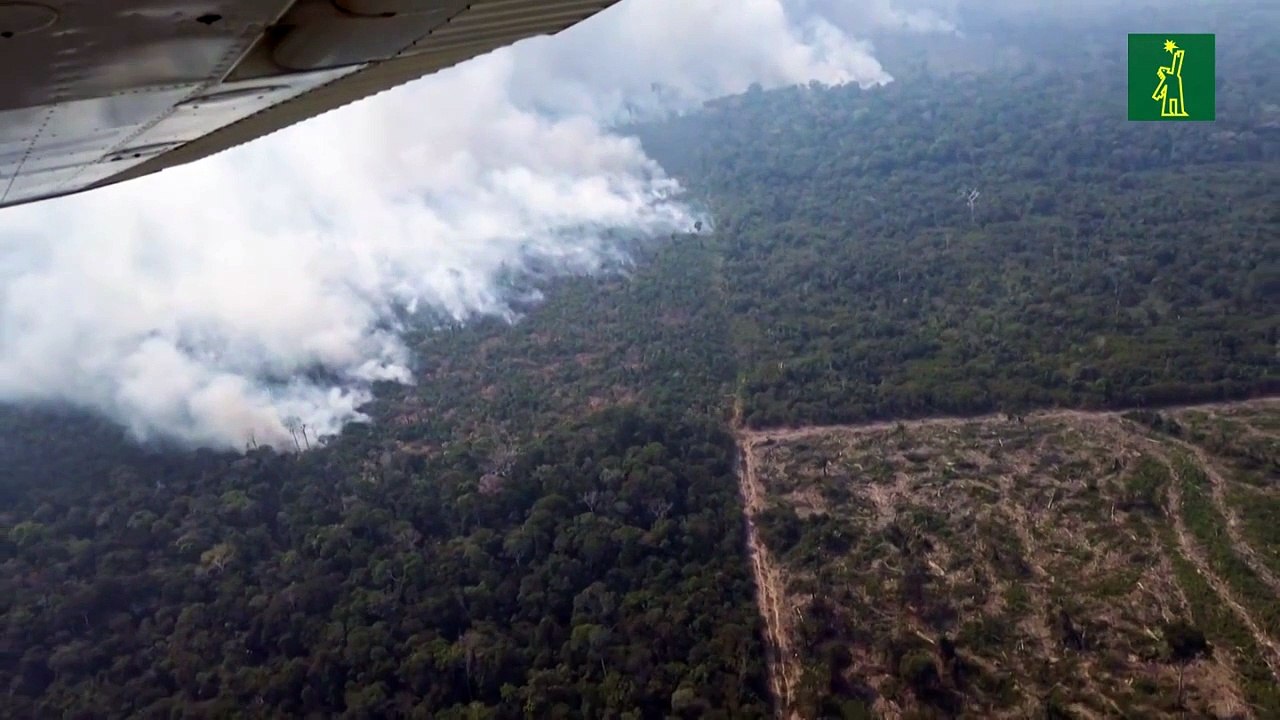 Bolsonaro autoriza envío de fuerzas armadas para combatir incendios en Amazonía