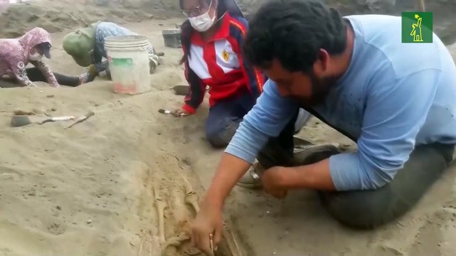 Nuevas excavaciones revelan que sacrificios de niños eran un ritual habitual en el Antiguo Perú