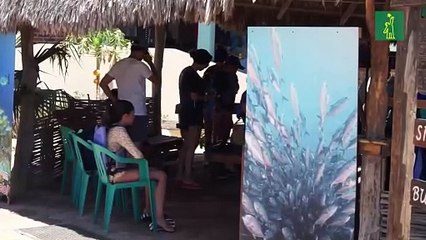 Cabo Pulmo, un paraíso mexicano ejemplo de conservación entre el hombre y la naturaleza