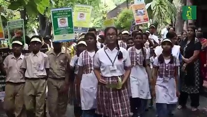 La población de tigres en la India alcanzó los 2.977 ejemplares