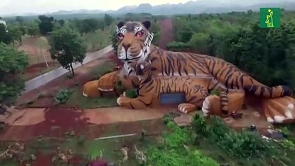Mueren decenas de tigres confiscados en un templo de Tailandia