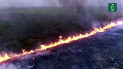 Bolivia concentra lucha contra el fuego en frontera con Brasil y Paraguay