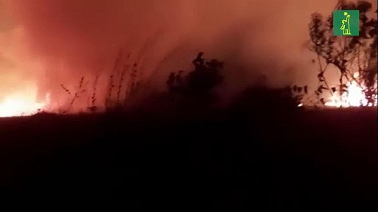 Reportan 128 incendios forestales en Perú en las últimas tres semanas