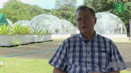 Domos en Panamá para simular efectos del cambio climático
