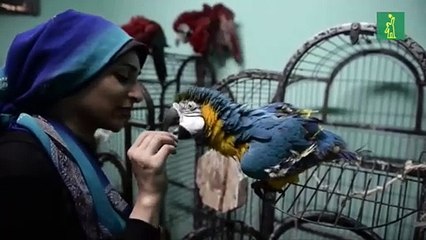 Escuela de Loros busca la armonía entre aves y personas