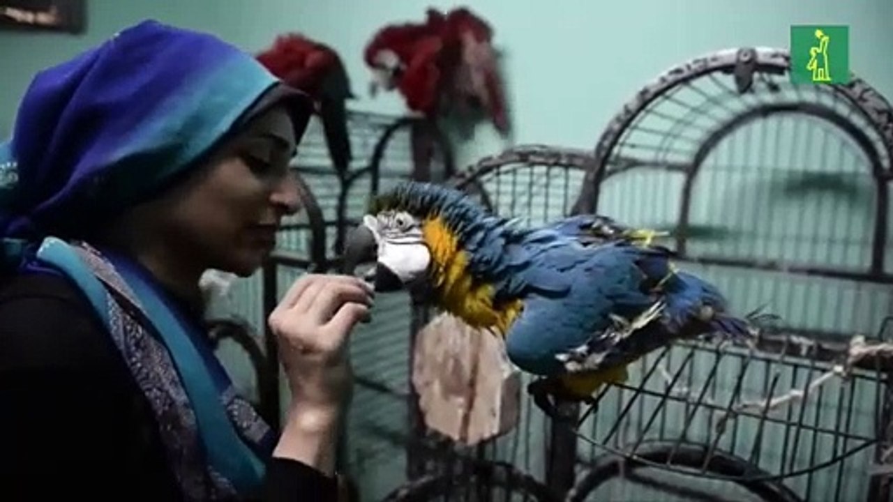 Escuela de Loros busca la armonía entre aves y personas