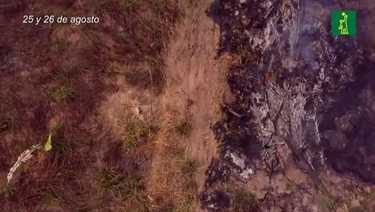 Bolsonaro decreta suspensión de quemas para frenar incendios amazónicos